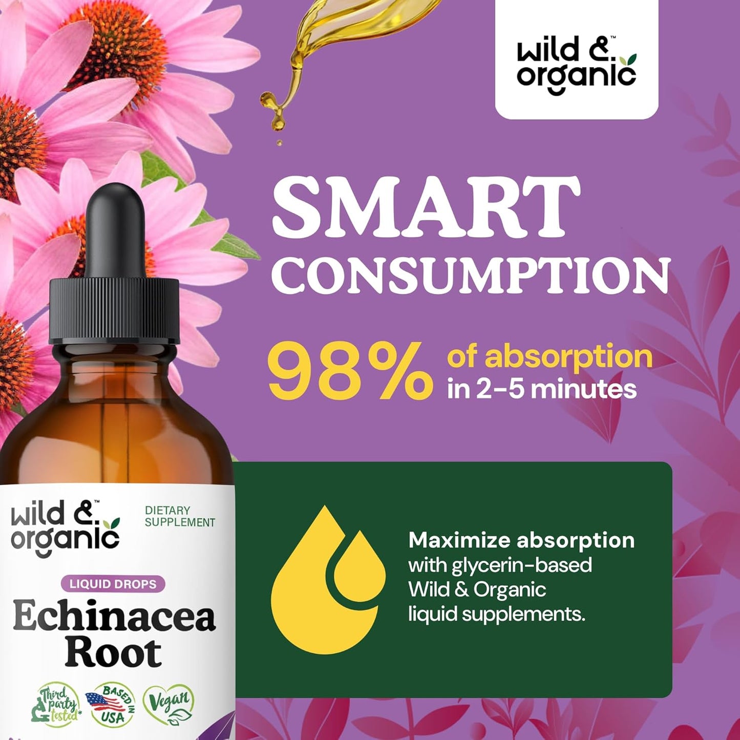 Echinacea Drops - Immune Support Supplement with Echinacea Angustifolia - Liquid Root Extract Tincture - Vegan, Sugar & Alcohol-Free - 4 Fl Oz TLBH