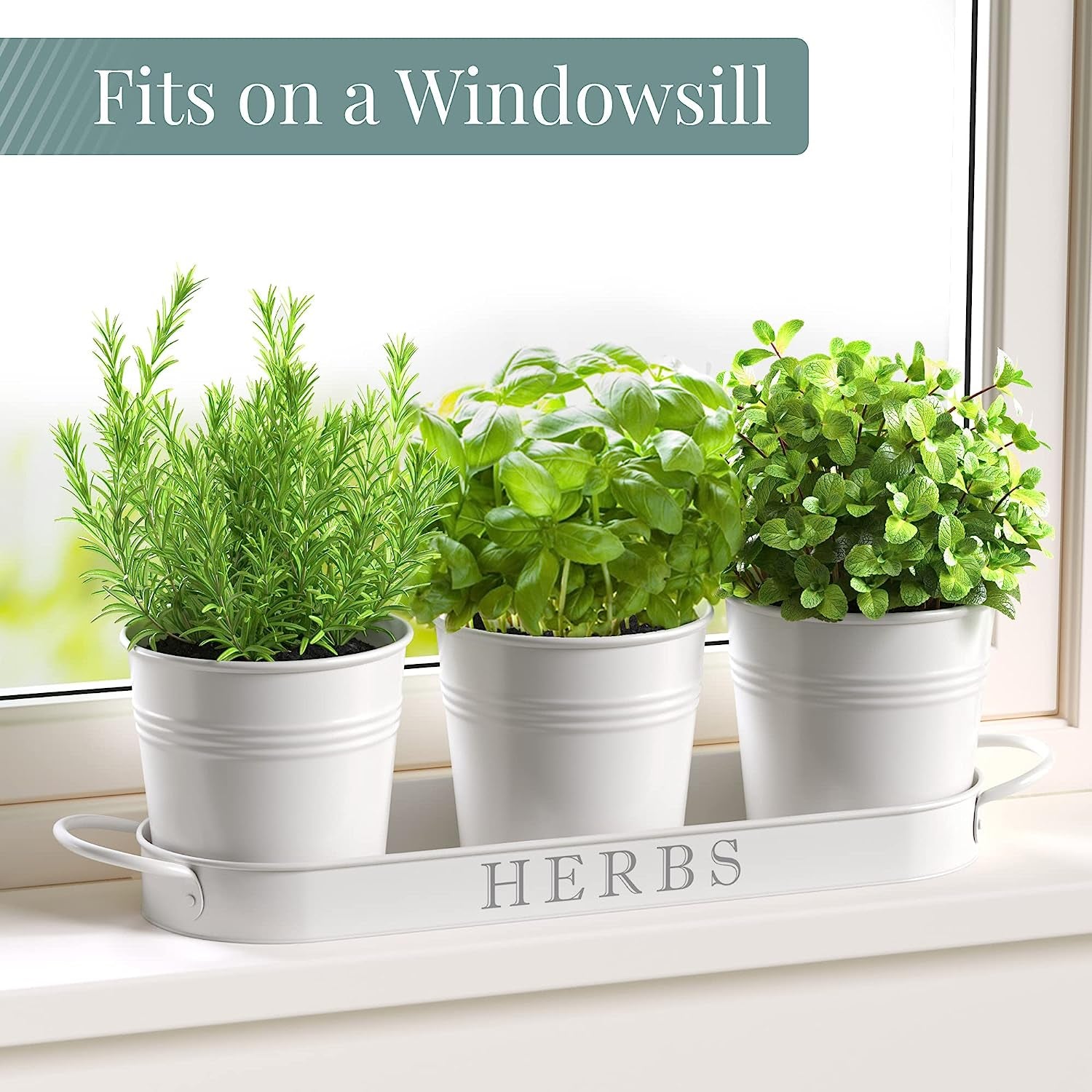 Indoor Herb Garden Planter Set with Tray, Metal Windowsill Plant Pots with Drainage for Outdoor or Indoor Plants, Set/3 (White)