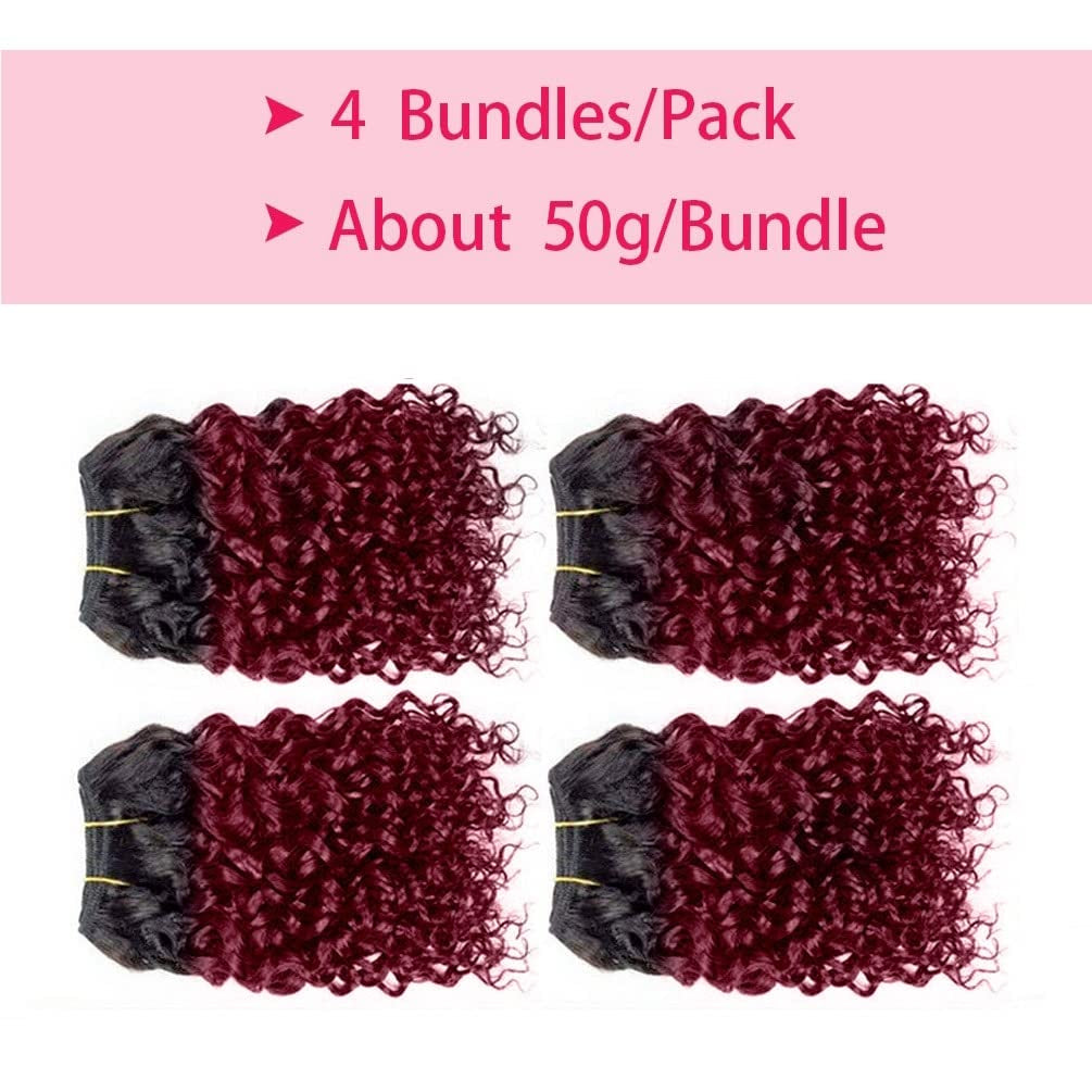 Curly Human Hair Bundles Kinky Curly Bundles Human Hair Bundles Curly Human Hair 4 Bundles 1B/99J Brazilian Virgin Human Hair 50 Gram/Bundle (8 8 8 8, 1B 99J)