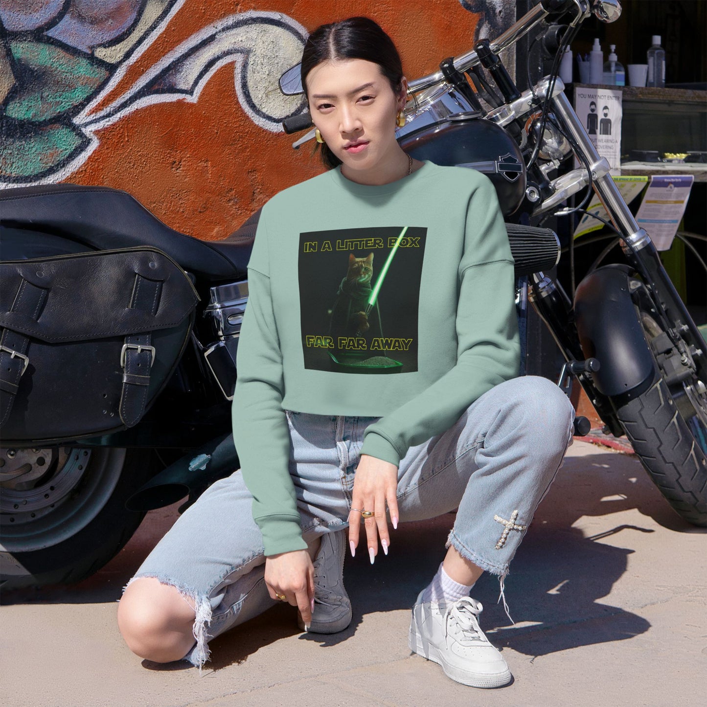 STAR WARS CAT IN A LITTER BOX FAR FAR AWAY Women's Cropped Sweatshirt