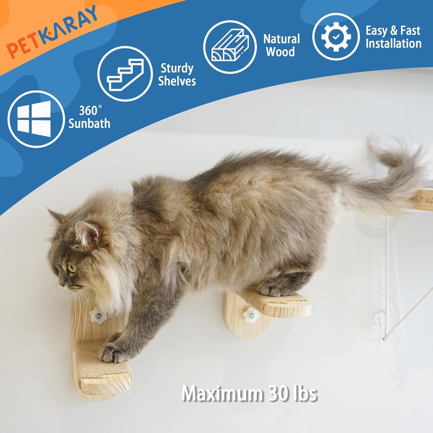 Cat Window Shelf, Original Cat Window Perch Stairs, Durable Cat Seat for Window Sill, Sturdy Window Step for Indoor Cats