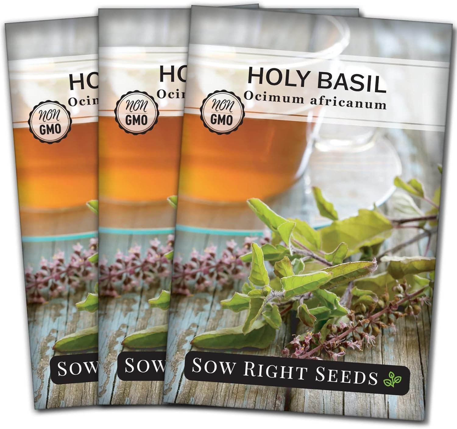 - Holy Basil Tulsi Seed for Planting - Culinary Herb to Plant in Your Garden - Indoors or Outdoors - Ayurvedic Medicine and Tea - Non-Gmo Heirloom Seeds - Great Gardening Gift (1) TLBH