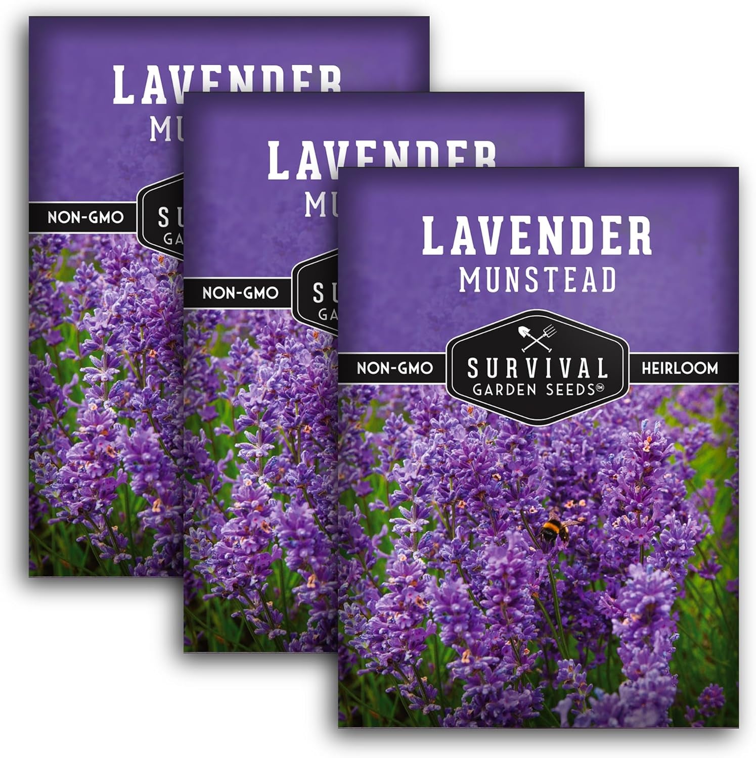 Munstead Lavender Seed for Planting - 1 Packet with Instructions to Plant & Grow Compact Dwarf Lavandula Angustifolia Bushes in Your Home Garden - Non-Gmo Heirloom Variety - TLBH
