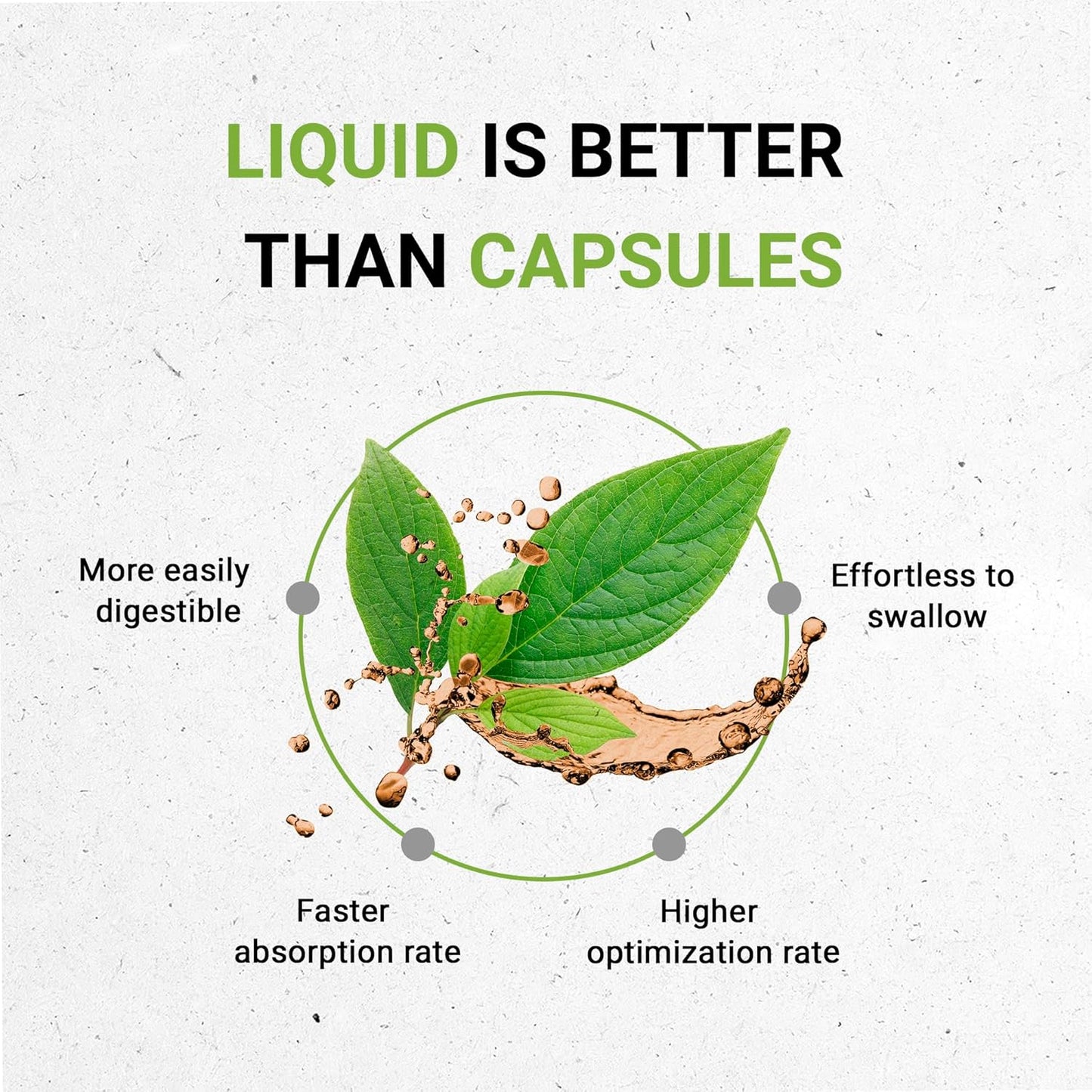 Stinging Nettle Alcohol-Free Liquid Extract, Stinging Nettle (Urtica Dioica) Dried Root (2 FL OZ) TLBH