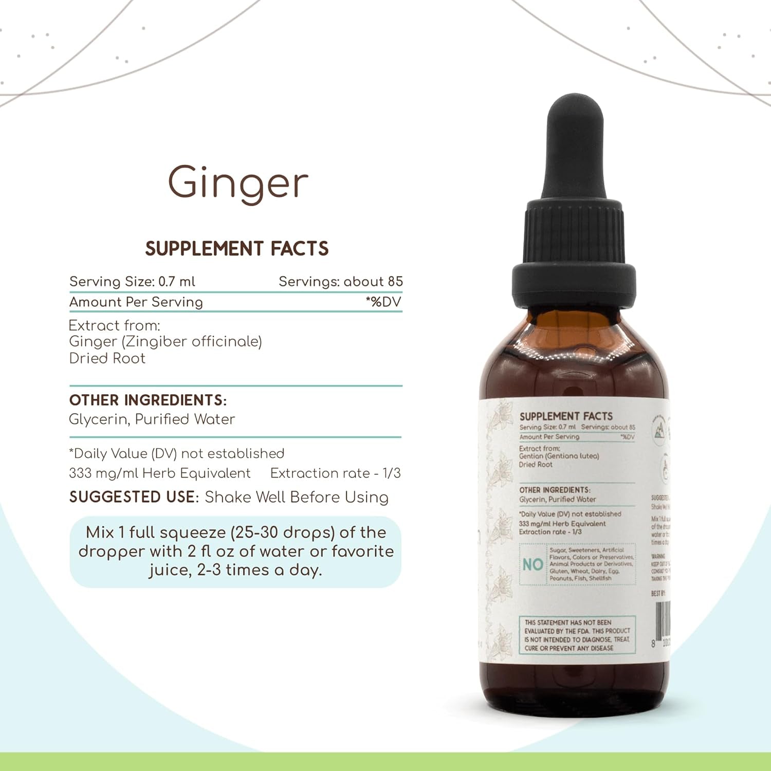Ginger B60 Alcohol-Free Herbal Extract Tincture, Super-Concentrated Ginger (Zingiber Officinale) 2 Fl Oz TLBH