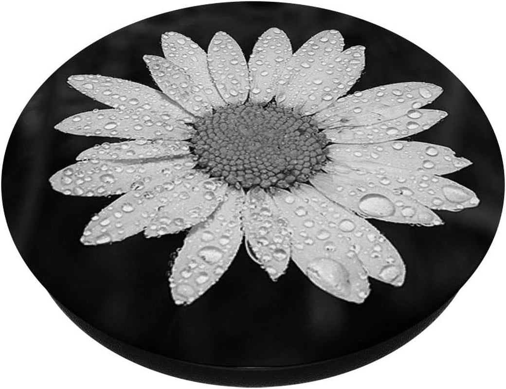 Black and White Daisy Flower Tear Drops Rain Chamomile TLBH
