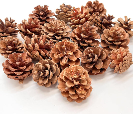 20PCS Christmas Pine Cones, Natural Pine Cones for Crafts, 1.4-2.2 Inches Pine Cones for Christmas Tree, Gift Tag, Garland, Wreaths, Xmas DIY Crafts Home Decorations