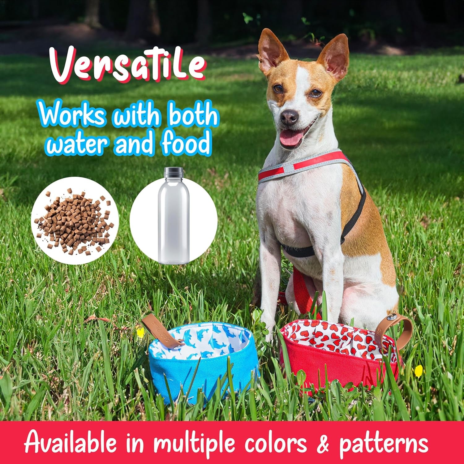 Foldable Dog Bowl Puppy Must Have