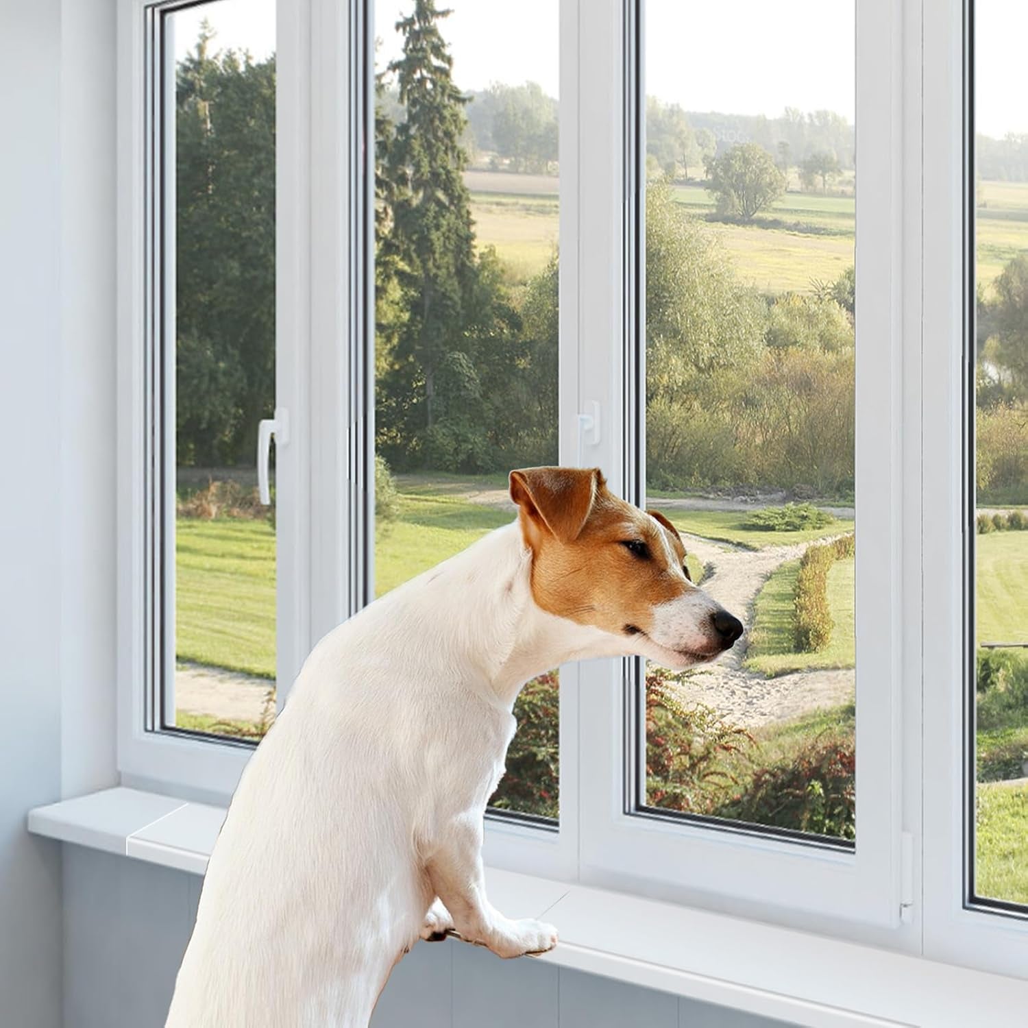 6 Pcs Total Length 71'' X 3.25'' Width Clear Pet Window Sill Protector from Dog Cat Scratching Strong Transparent Protection against Claw Chewing on Window Sills，Keep Paws Safe and Home Clean