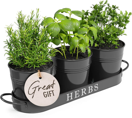Indoor Herb Garden Planter Set with Tray, Metal Windowsill Plant Pots with Drainage for Outdoor or Indoor Plants, Set/3 (Black)