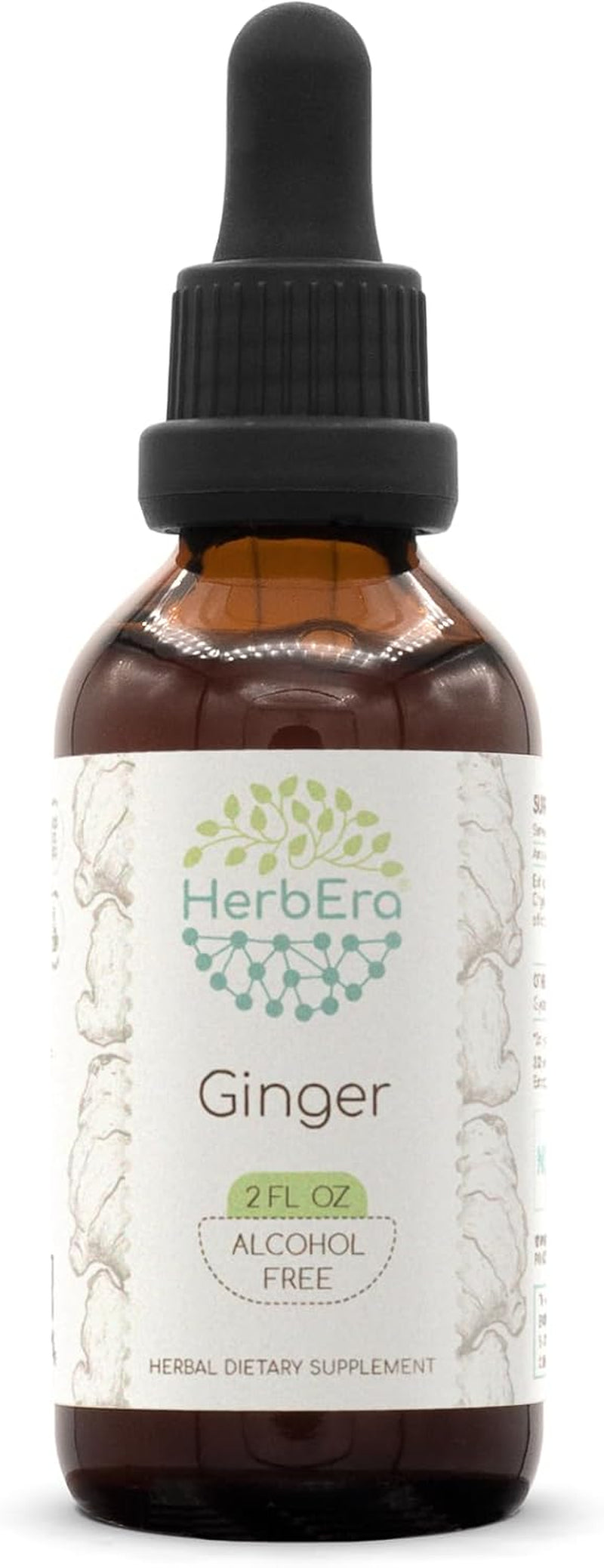 Ginger B60 Alcohol-Free Herbal Extract Tincture, Super-Concentrated Ginger (Zingiber Officinale) 2 Fl Oz TLBH