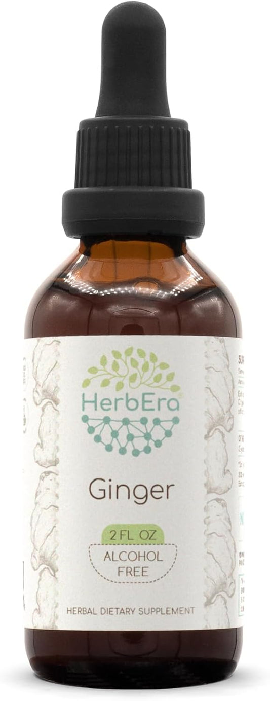 Ginger B60 Alcohol-Free Herbal Extract Tincture, Super-Concentrated Ginger (Zingiber Officinale) 2 Fl Oz TLBH