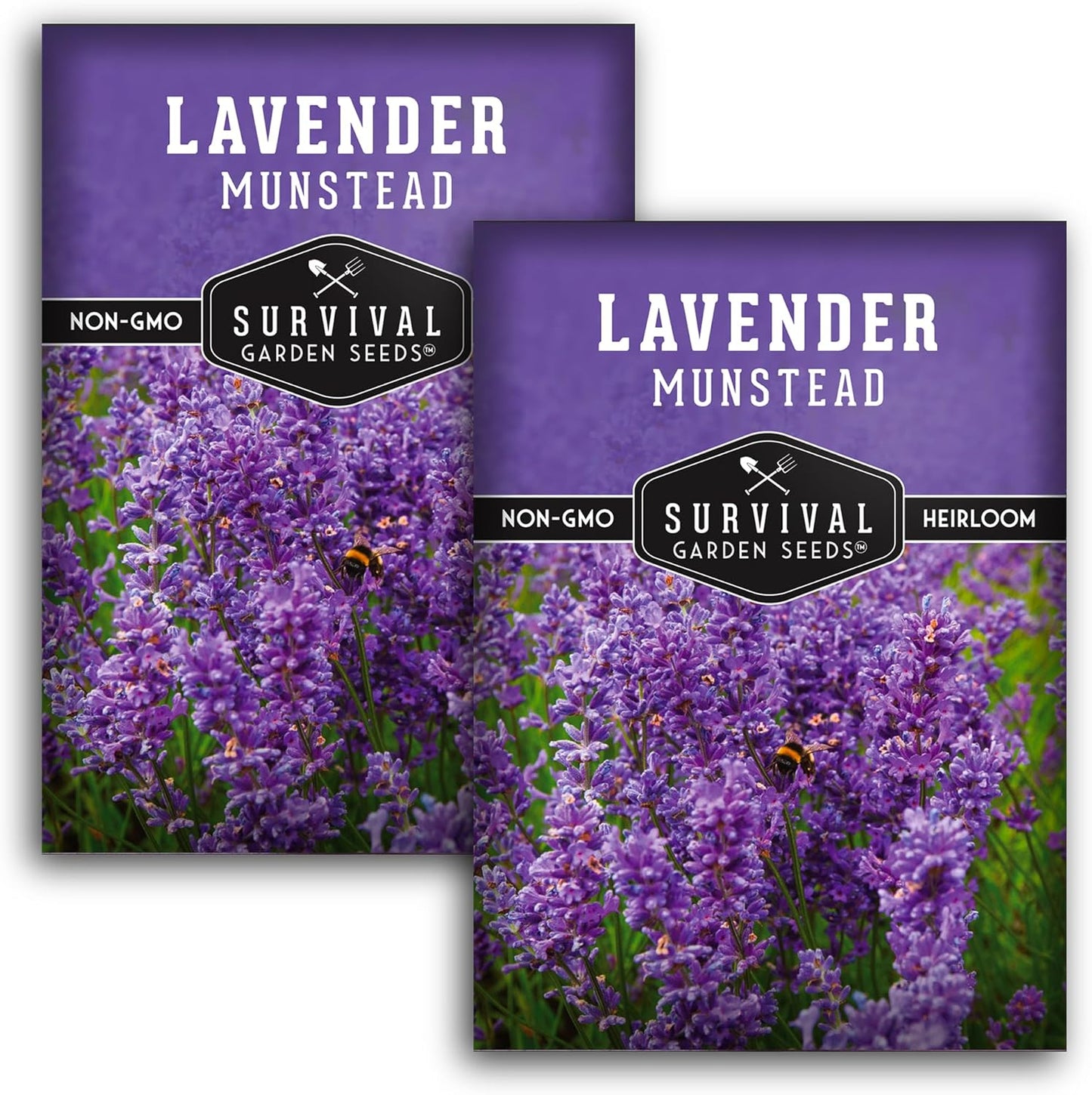Munstead Lavender Seed for Planting - 1 Packet with Instructions to Plant & Grow Compact Dwarf Lavandula Angustifolia Bushes in Your Home Garden - Non-Gmo Heirloom Variety - TLBH