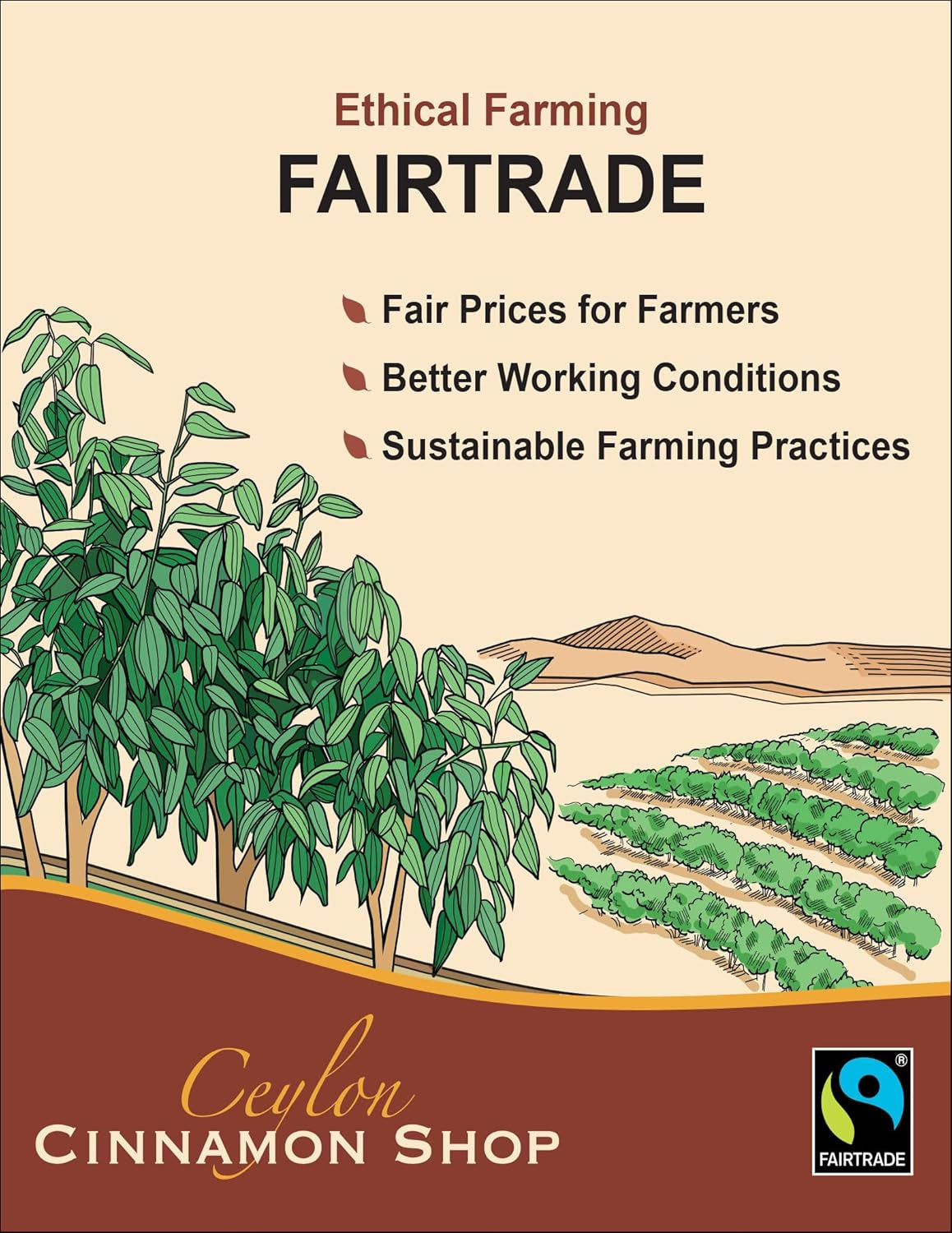 Organic Ceylon Cinnamon (100% Certified) Powder, 8 Ounces TLBH