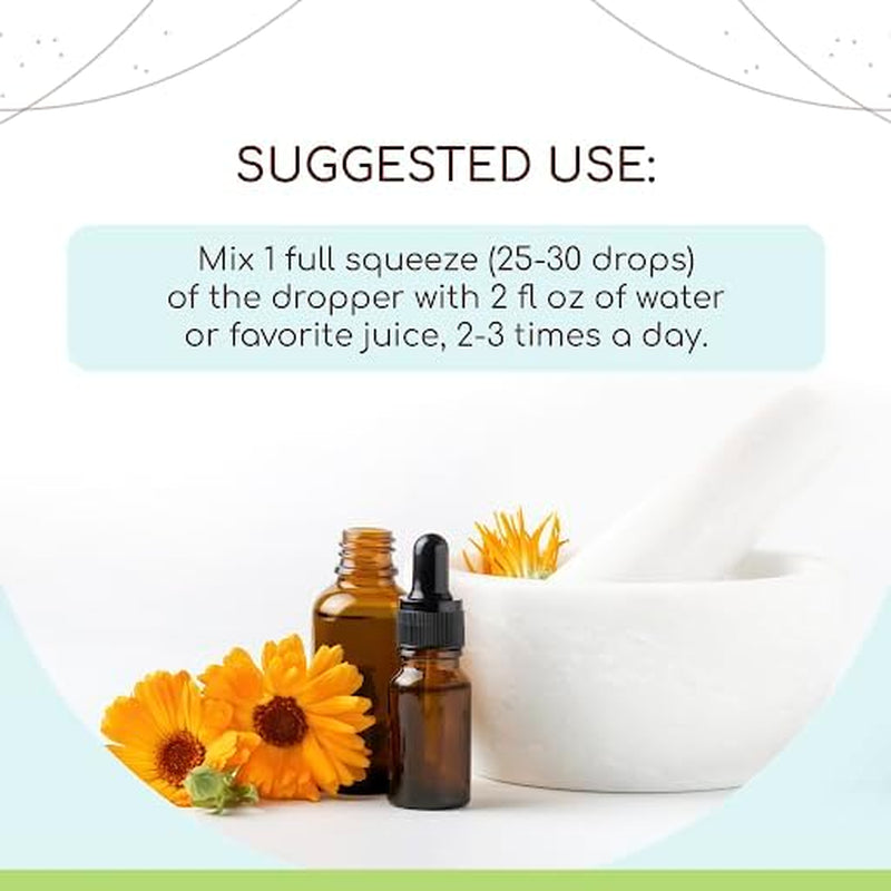 Ginger B60 Alcohol-Free Herbal Extract Tincture, Super-Concentrated Ginger (Zingiber Officinale) 2 Fl Oz TLBH