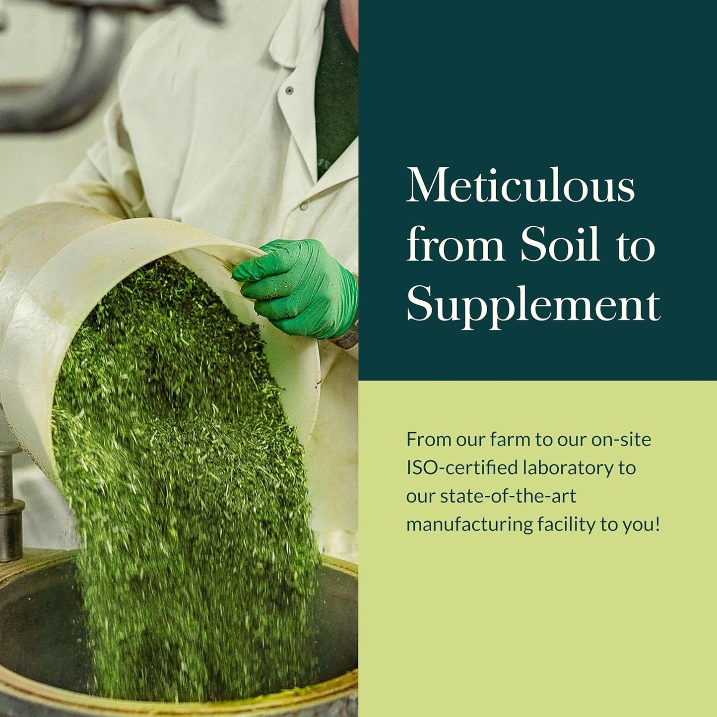 Echinacea Goldenseal Propolis Throat Spray - for Immune Support & Throat Health - with Licorice Root, Thyme, Echinacea, Peppermint & Oregon Grape - Organic 1 Fl Oz Spray Bottle TLBH