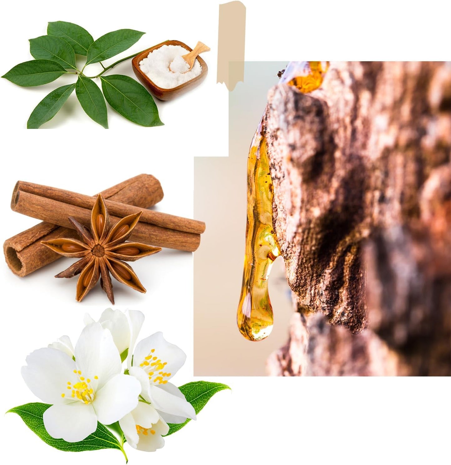 Christmas Scented Candle - 6Oz Soy Wax Candle, Snowy Joy, Infused with Fresh-Cut Spruce Branches Aroma - Green and Gold Gift Box for Holiday Season Gift