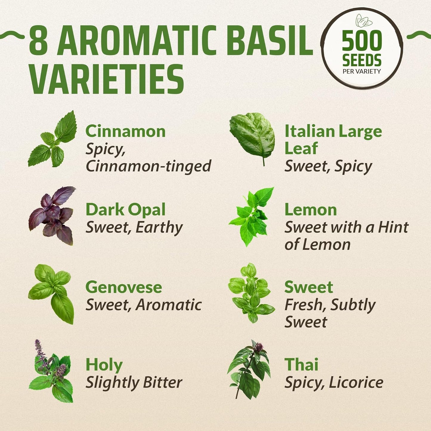 8 Basil Seeds Pack - 4000 High Germinating Fresh Basil Seeds - Thai, Genovese, Lemon, Tulsi Holy Basil, & More Culinary Herb Seeds - Non GMO, USA Heirloom Basil Seeds for Planting TLBH