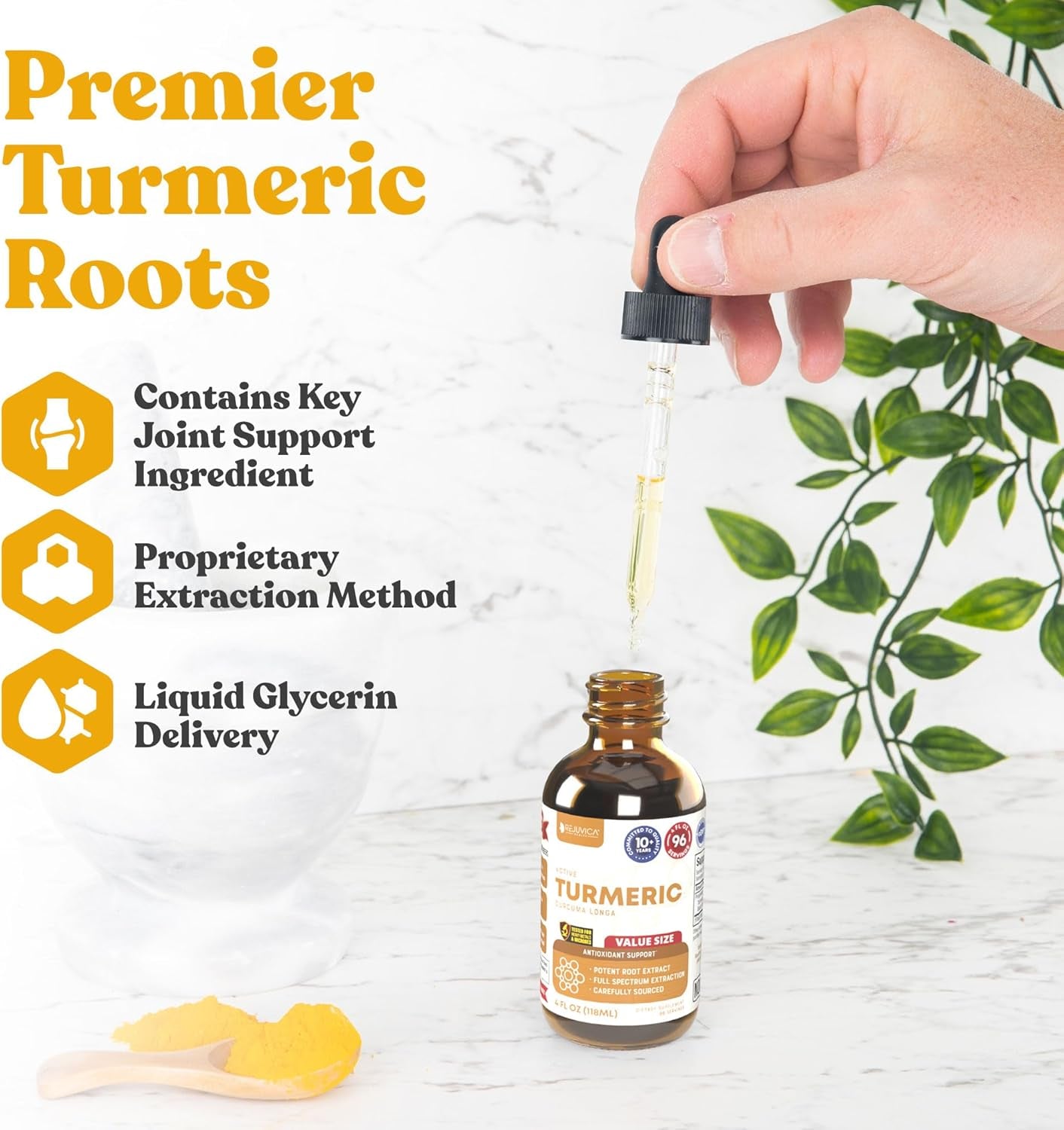 Active Turmeric - Advanced Liquid Supplement - Curcuma Longa Extract - Turmeric Roots Only - Naturally Occurring Curcumin TLBH