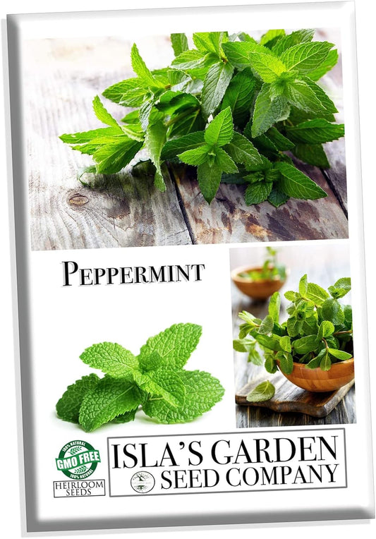 Peppermint Seeds for Planting, 1000+ Heirloom Seeds, (), Non GMO Seeds, Botanical Name: Mentha Piperita, Great Home Herb Garden Gift TLBH