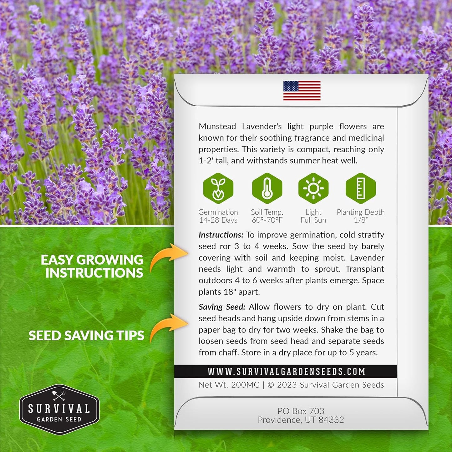 Munstead Lavender Seed for Planting - 1 Packet with Instructions to Plant & Grow Compact Dwarf Lavandula Angustifolia Bushes in Your Home Garden - Non-Gmo Heirloom Variety - TLBH