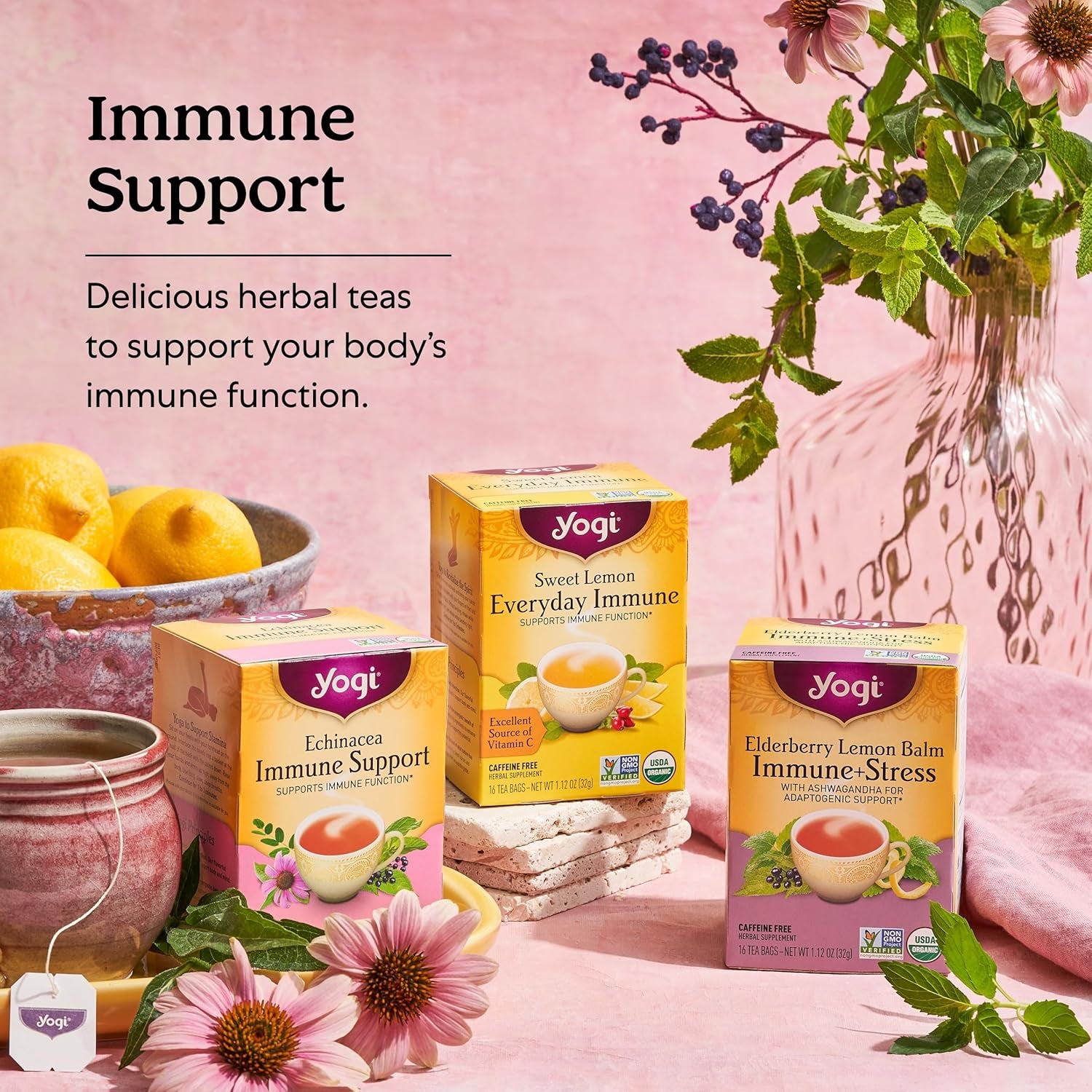 Tea Echinacea Immune Support Tea - 16 Tea Bags per Pack (6 Packs) - Organic Immunity Support Tea - Includes Peppermint Leaf, Lemongrass, Cinnamon Bark, Echinacea Purpurea, Licorice Root & More TLBH