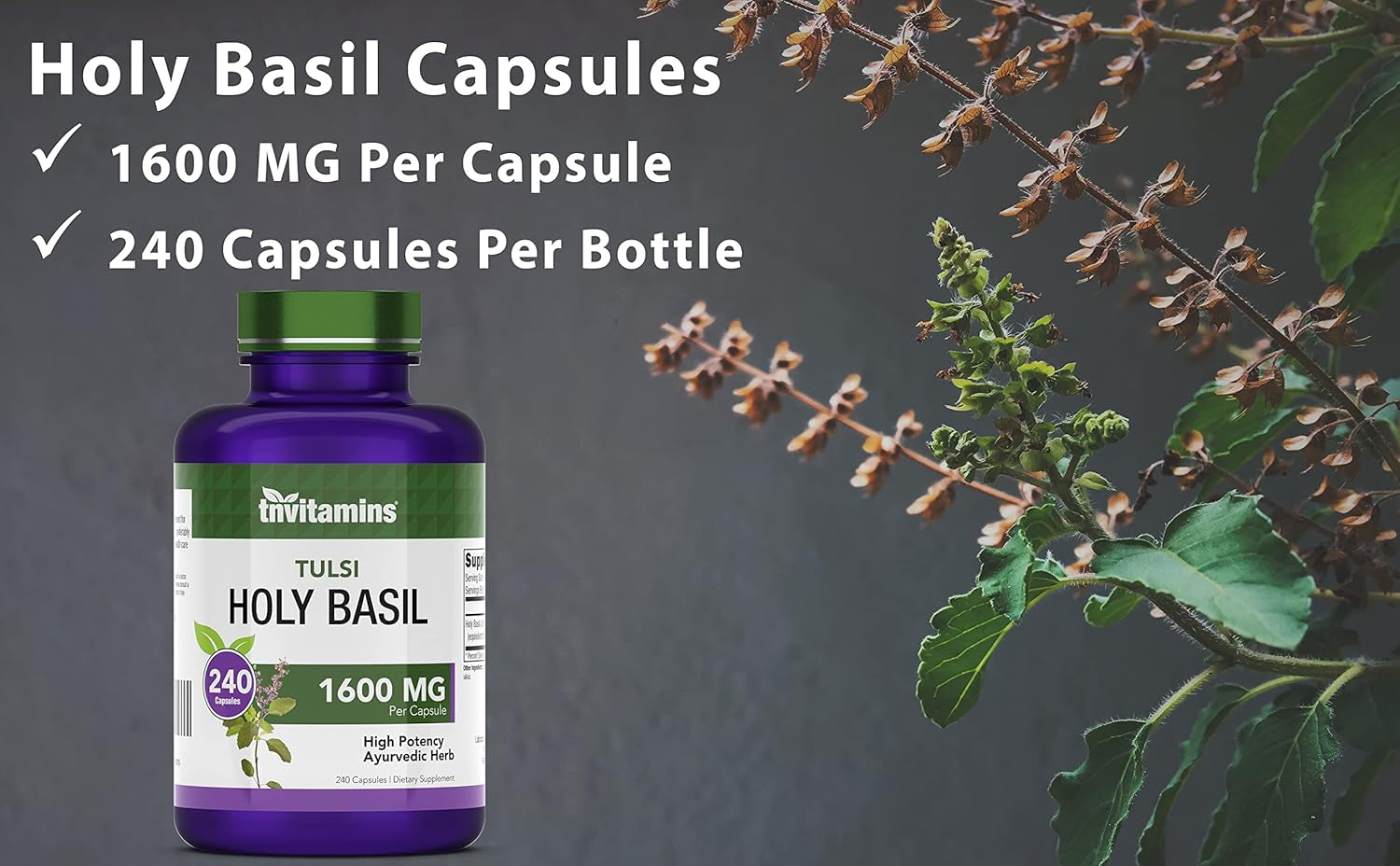 Holy Basil Capsules (1,600 Mg Equivalent - 240 Capsules) | 8 Month Supply | AKA Tulsi | May Promote Stress & Frustration Relief* | Adaptogenic, & Ayurvedic Herb TLBH