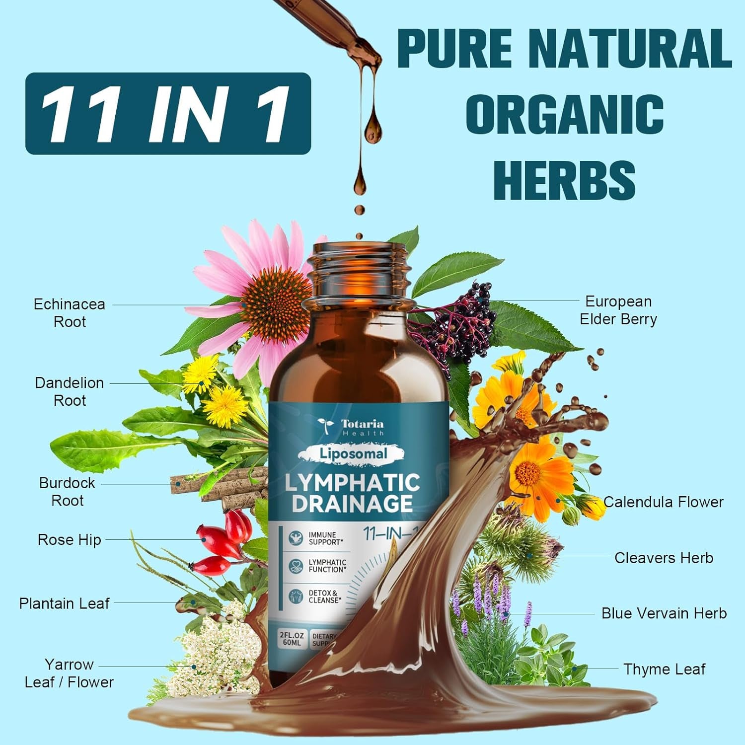 Liposomal Lymphatic Drainage Drops - 11 in 1 Organic Lymphatic Drainage Supplement with Burdock Root, Echinacea, Elderberry, Calendula, Cleavers Herb, Dandelion Supports Lymphatic Health 2 FL.OZ TLBH