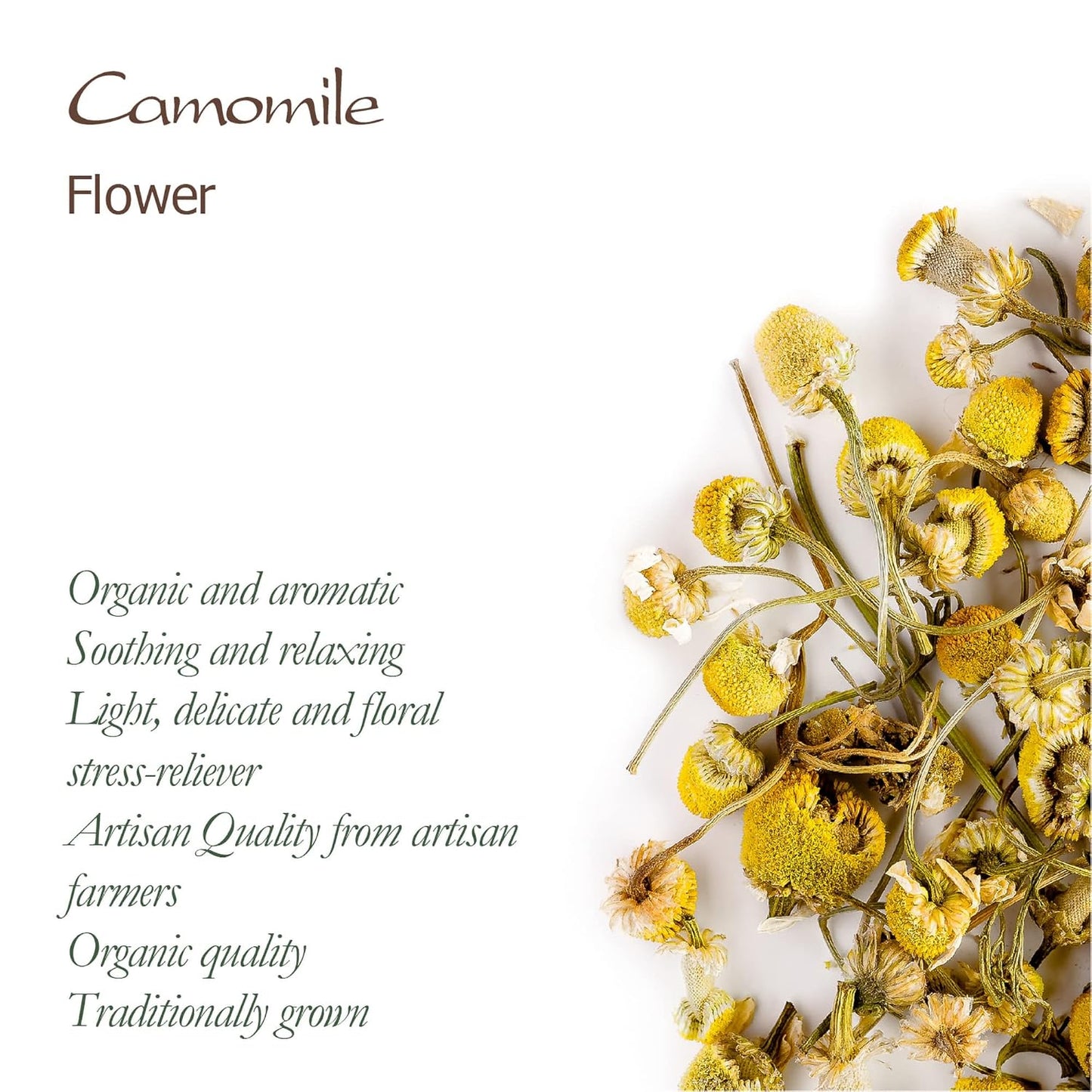 Chamomile Flowers Organic Herbal Tea - Soothing and Relaxing - Wild Matricaria Chamomile - Cammomile Chamomile Flowers Chanomille Chanile Chamoline Flowers Organic Camomile Flower Chammomile TLBH