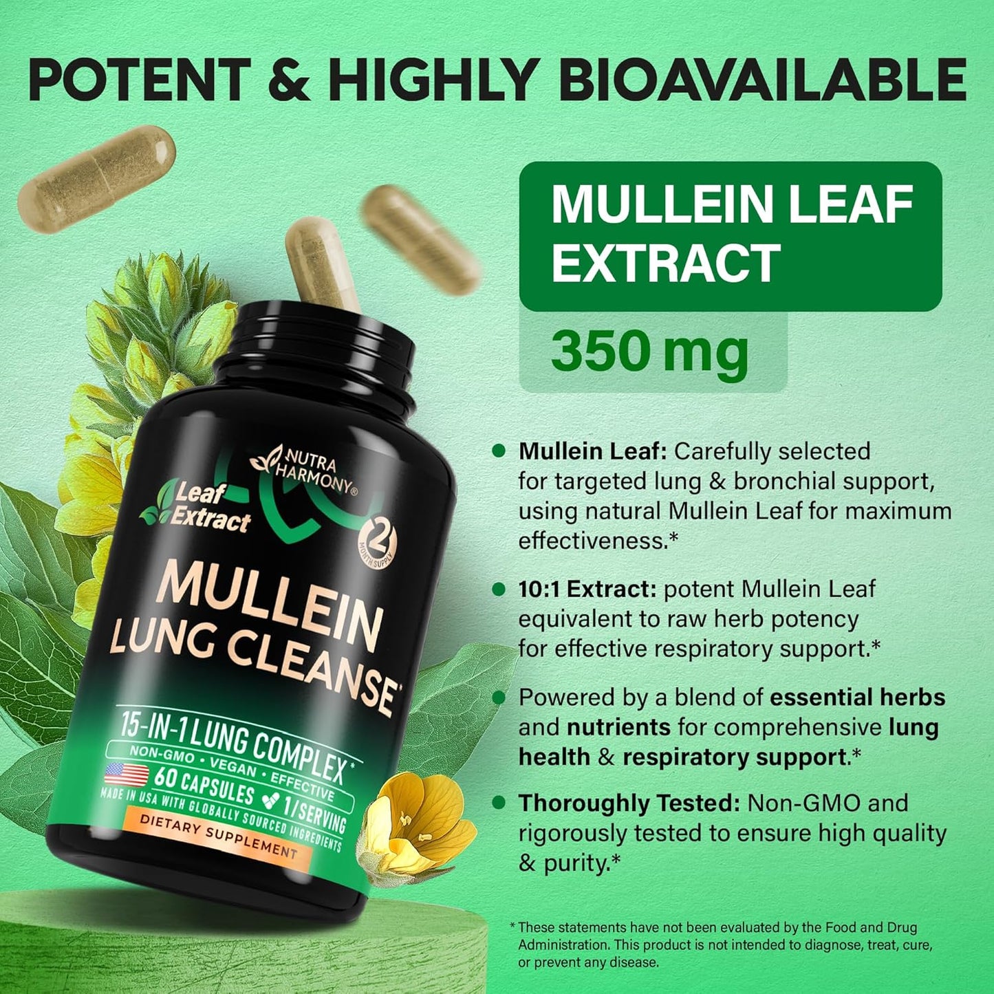 Mullein Leaf Extract for Lung Detox - Echinacea | Oregano | Quercetin | NAC - 15-In-1 Lungs Support Supplement - Lung Cleanse for Smokers - Made in USA - as Drops, Tea, Tincture, 60 Vegan Capsules TLBH