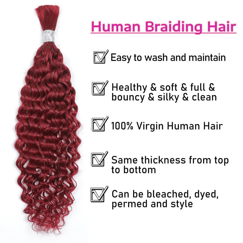 Human Braiding Hair 14Inch Water Wave Bulk Human Hair for Braiding 100G 2Bundle/Pack No Weft Human Hair Bundles for Braiding Micro Human Braiding Hair for Boho Braids(14Inch,99J#)