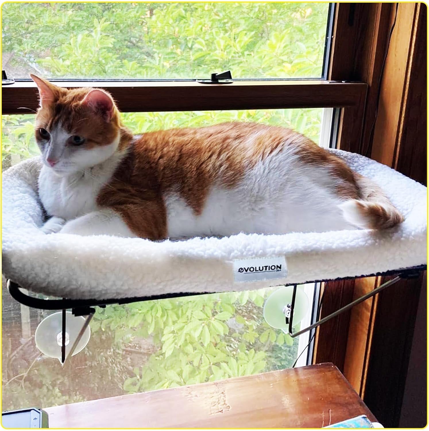 Window Cat Perch for Indoor Cats - Cat Hammock for Window, Heavy Duty Cat Window Perch, Cat Shelf Window Sill Cat Perch, Cat Window Seat for Indoor Cats, Cat Bed for Window Sill Perch, Cat Window Bed