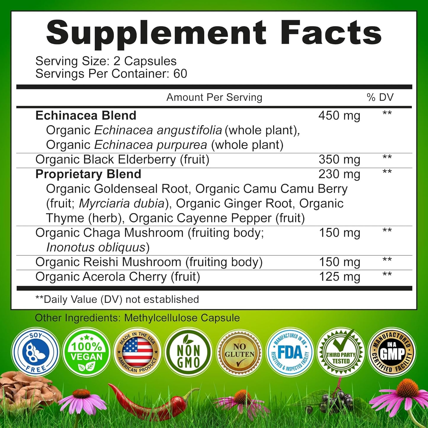 Echinacea Goldenseal Capsules - 10 in 1 Immune Support Supplement - 1455Mg - Vegan Echinacea Capsules Supplement Made with Organic Whole Foods - Herbal Immune System Support - 2 Month Supply TLBH