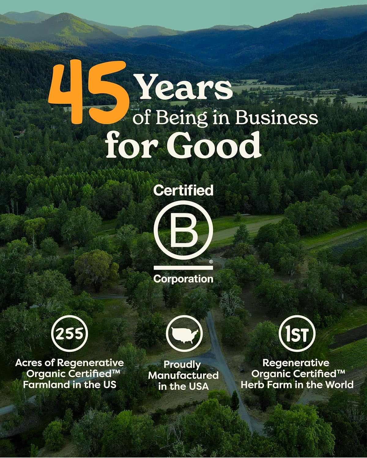 Certified Organic Super Echinacea Liquid Extract for Active Immune System Support - 4 Oz TLBH