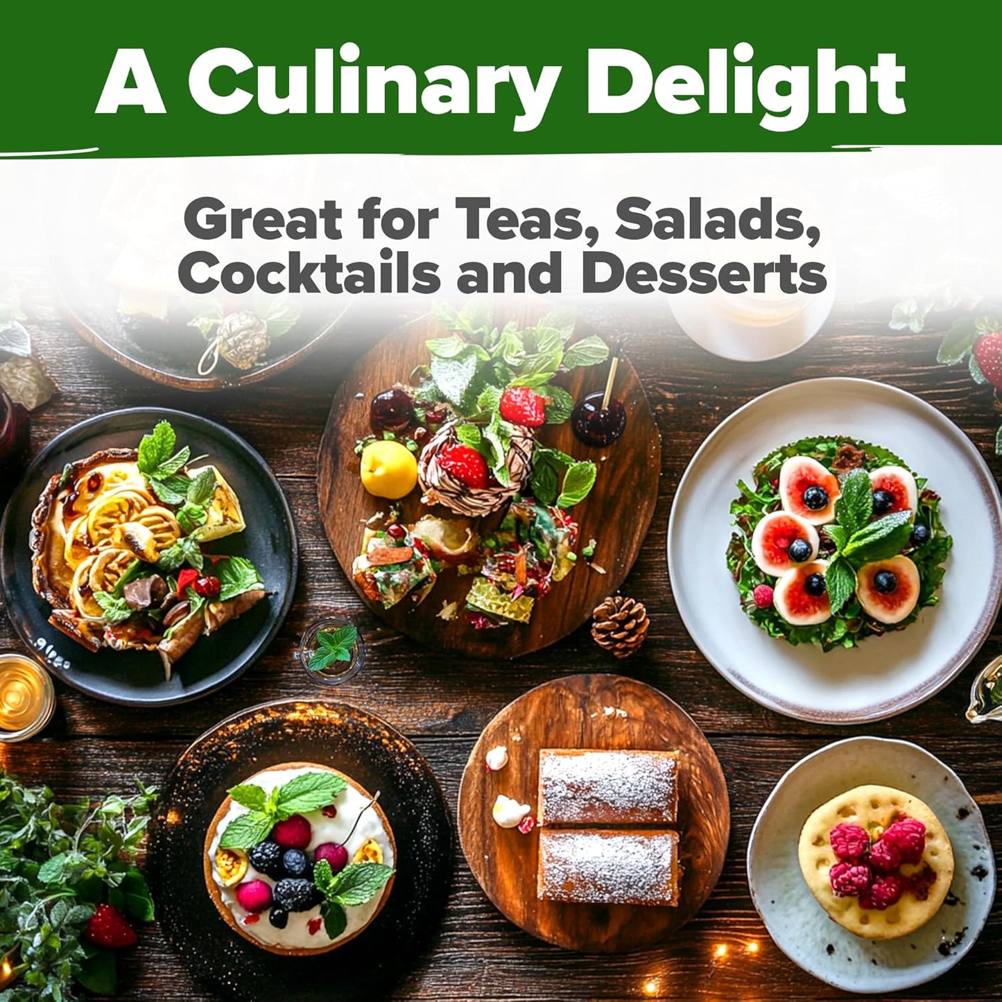 Peppermint Seeds Pack – 2,370 Non-Gmo, Heirloom Mint Seeds for Planting. Grow Peppermint Plants in Your Herb Garden Indoors or Outdoors (Mentha × Piperita) TLBH