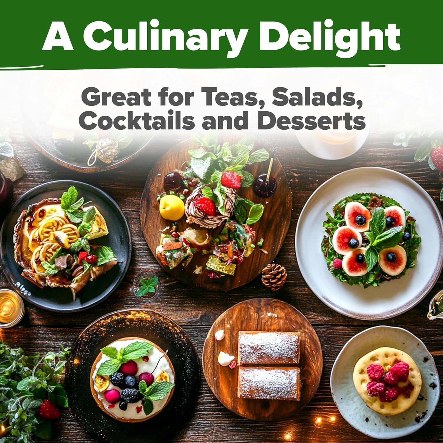 Peppermint Seeds Pack – 2,370 Non-Gmo, Heirloom Mint Seeds for Planting. Grow Peppermint Plants in Your Herb Garden Indoors or Outdoors (Mentha × Piperita) TLBH