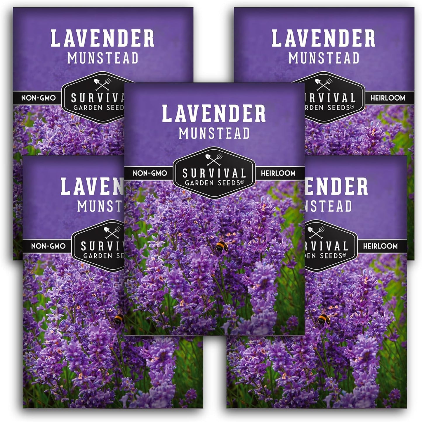 Munstead Lavender Seed for Planting - 1 Packet with Instructions to Plant & Grow Compact Dwarf Lavandula Angustifolia Bushes in Your Home Garden - Non-Gmo Heirloom Variety - TLBH