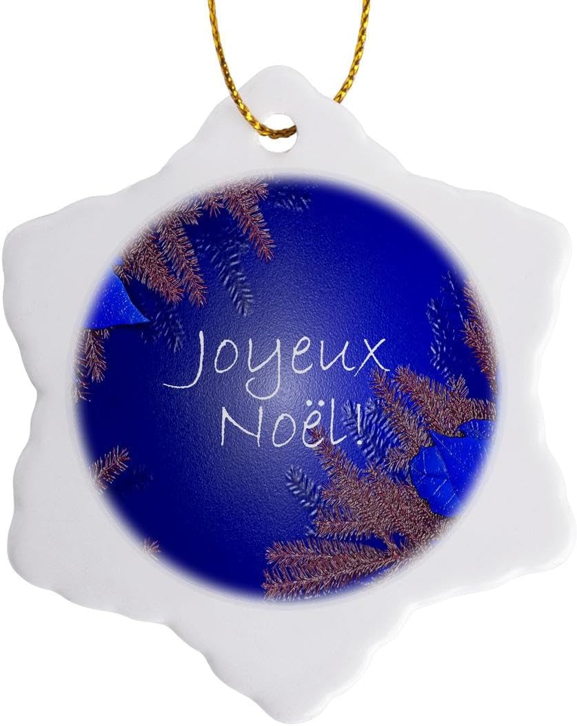 Orn_8673_1 Christmas Poinsettia Joyeux Noel in Blue Porcelain Snowflake Ornament, 3-Inch