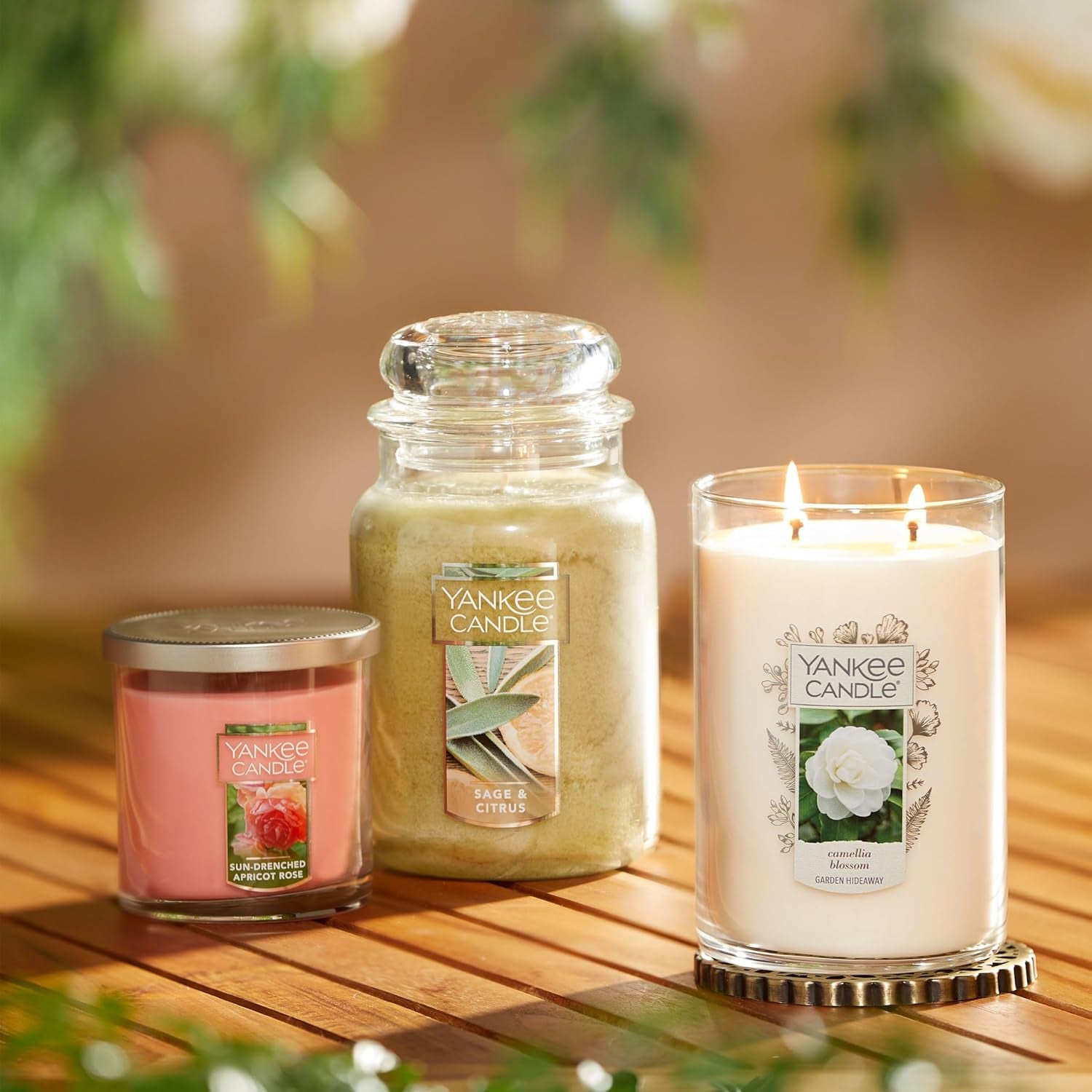 Sage & Citrus Scented, Classic 22Oz Large Jar Single Wick Candle, over 110 Hours of Burn Time, Ideal for Home Decor and Gifts