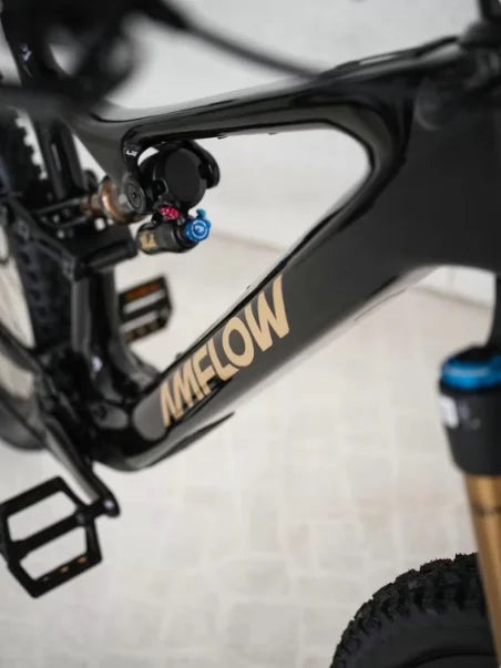 Amflow E Bike Amflow Pl800 Carbon 800 Wh - L Equipped with Djl Aviox 508W Fast Charging Charger Amflow Dji