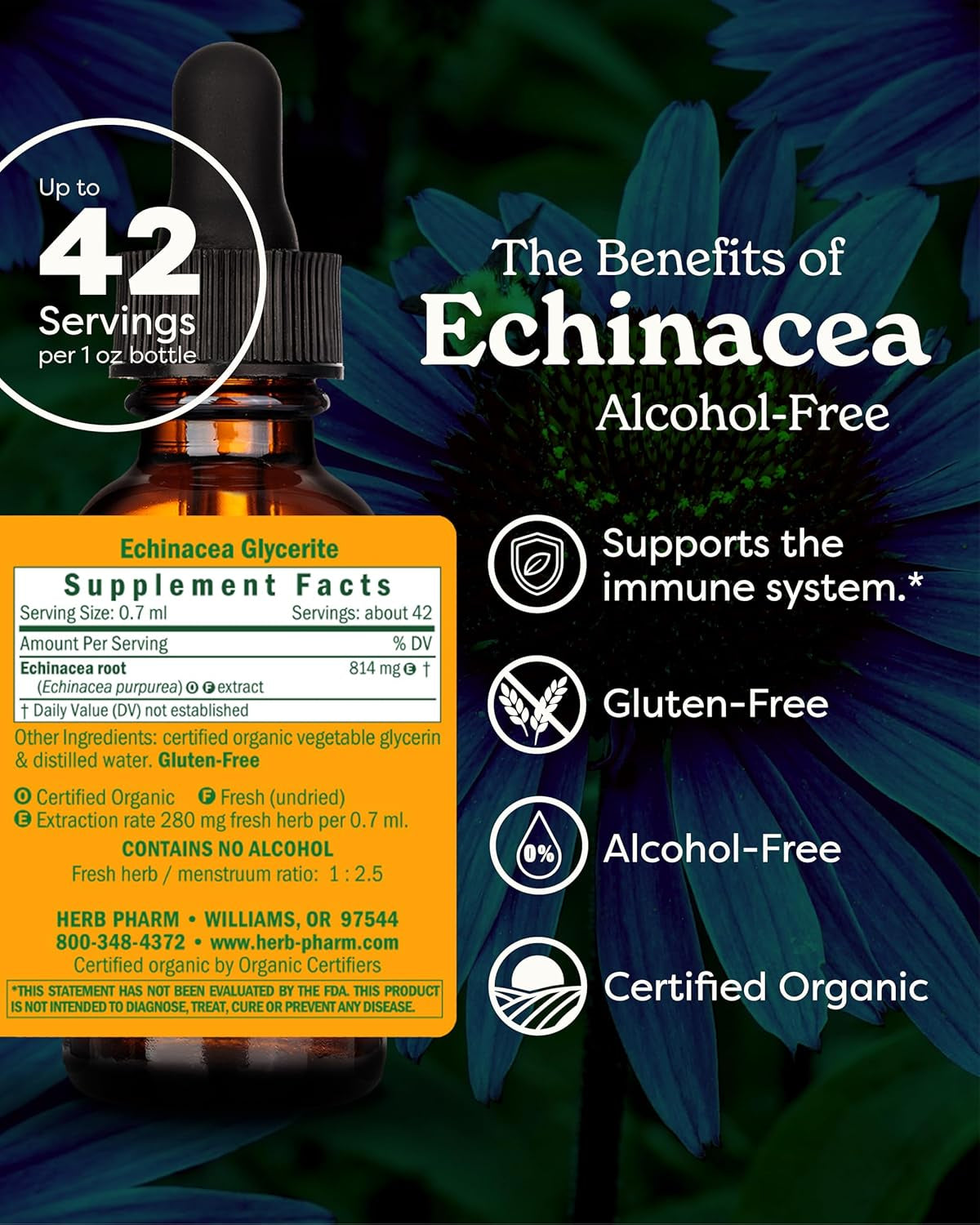 Organic Echinacea Root Extract, Alcohol-Free: Immune System Support for All Seasons, Fast-Acting Echinacea Plant Supplement, Non-Gmo, Vegan & Gluten-Free, 1 Oz TLBH