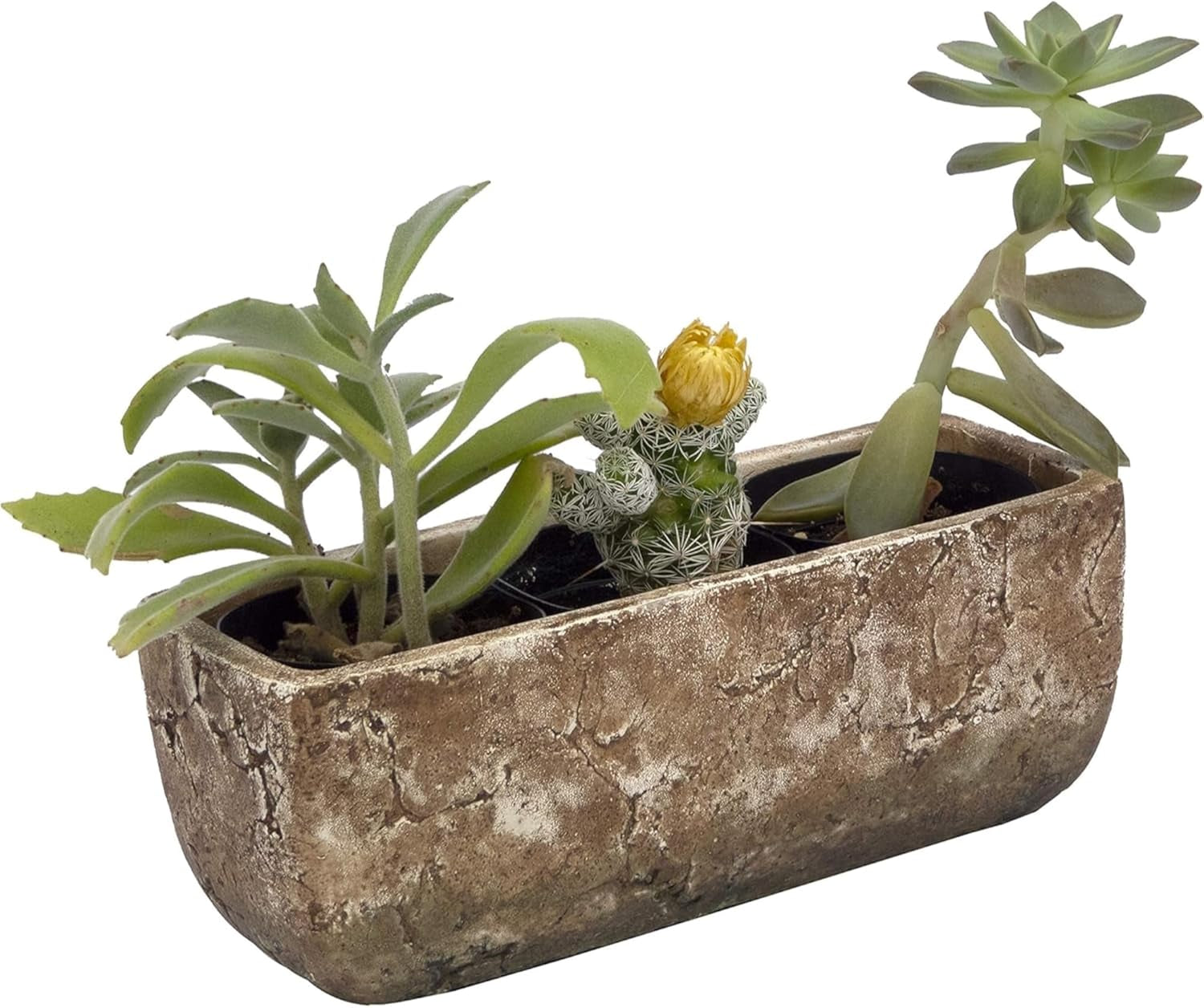 Cement Indoor Outdoor Planter with Drainage Hole, Dakota Trough Planter, Earth Moss Gray, Large, 8In