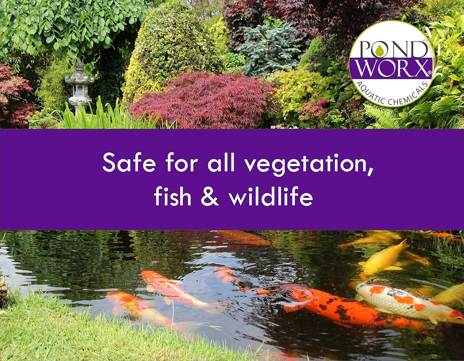 Pondworx Pond Bacteria - Concentrated & Formulated for Large Ponds, Water Features - Safe for Koi - 32Ounes & Treats up to a Quarter Acre Pond