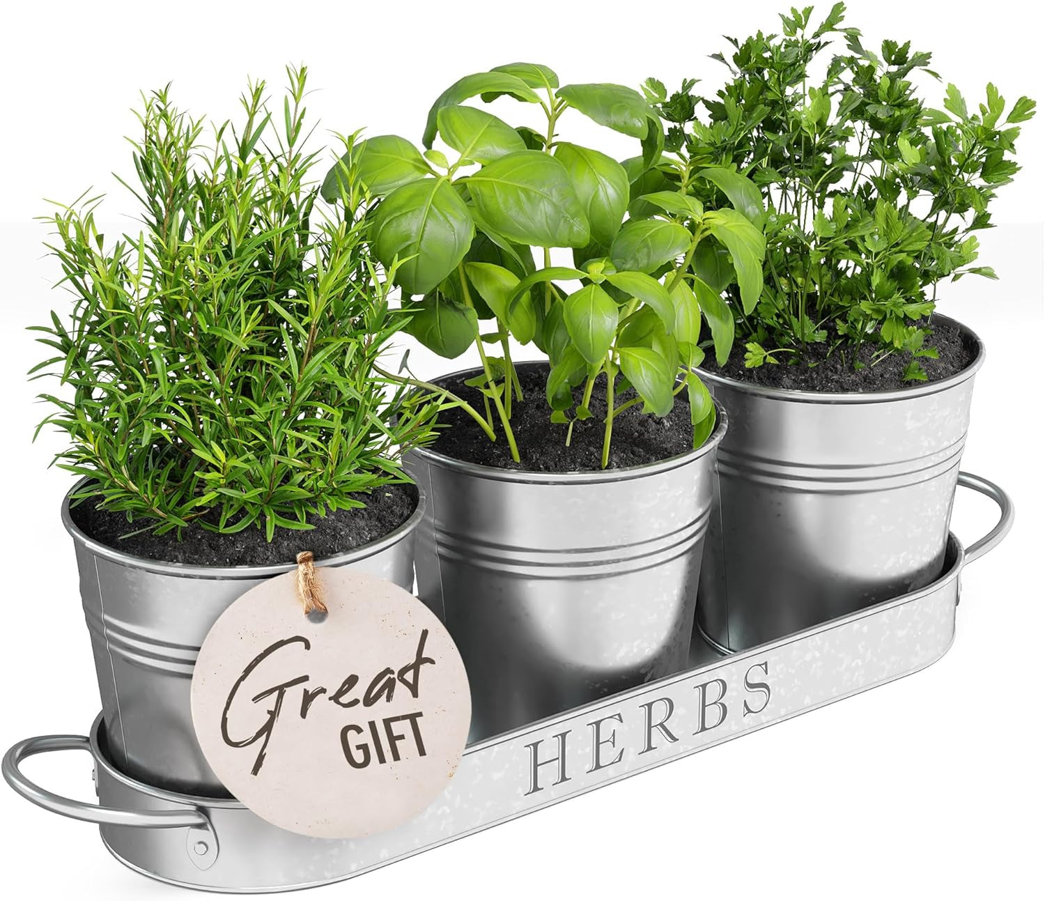 Indoor Herb Garden Planter Set with Tray, Metal Windowsill Plant Pots with Drainage for Outdoor or Indoor Plants, Set/3 (Galvanized)