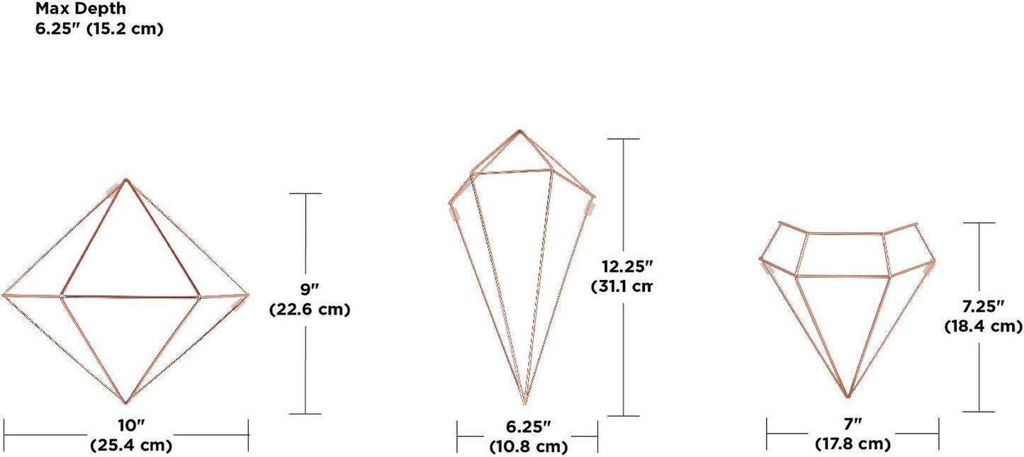 Prisma Geometric Sculptures, Decorate Your Wall with Modern Metallic Wire Shapes, Table Top, Ceiling Décor, Set of 6, Copper for Kitchen