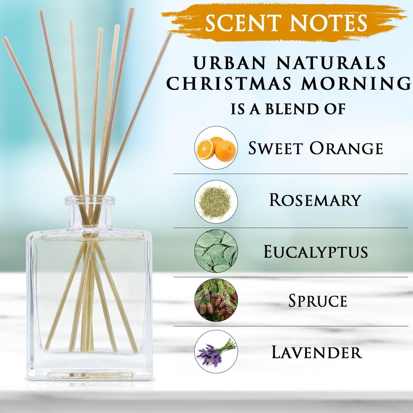 Christmas Morning Reed Diffuser Set – Aromatic Rosemary, Eucalyptus, Balsam Spruce, Orange, Cedar & Amber – Sleek Rectangular Refillable Glass Bottle – Made in the USA