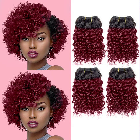 Curly Human Hair Bundles Kinky Curly Bundles Human Hair Bundles Curly Human Hair 4 Bundles 1B/99J Brazilian Virgin Human Hair 50 Gram/Bundle (8 8 8 8, 1B 99J)