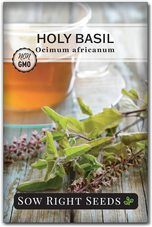 - Holy Basil Tulsi Seed for Planting - Culinary Herb to Plant in Your Garden - Indoors or Outdoors - Ayurvedic Medicine and Tea - Non-Gmo Heirloom Seeds - Great Gardening Gift (1) TLBH
