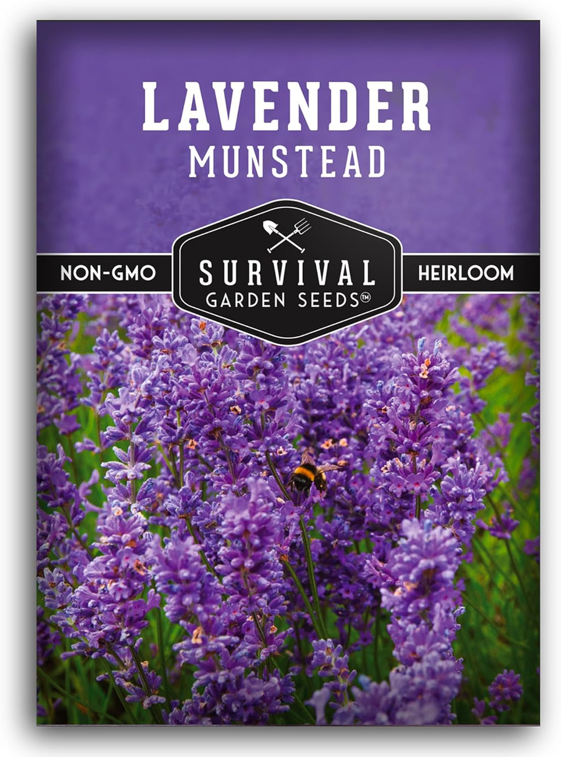 Munstead Lavender Seed for Planting - 1 Packet with Instructions to Plant & Grow Compact Dwarf Lavandula Angustifolia Bushes in Your Home Garden - Non-Gmo Heirloom Variety - TLBH