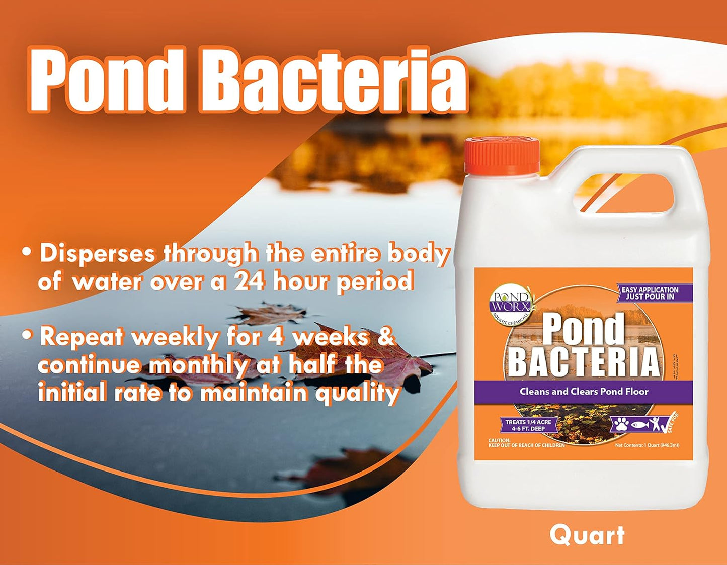 Pondworx Pond Bacteria - Concentrated & Formulated for Large Ponds, Water Features - Safe for Koi - 32Ounes & Treats up to a Quarter Acre Pond